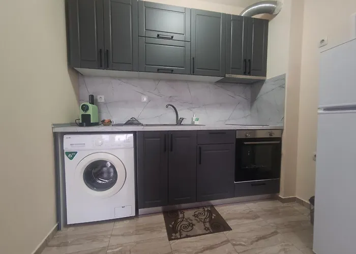 за гости николова *